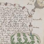 Публикуват първите копия на „най-загадъчната книга в света“