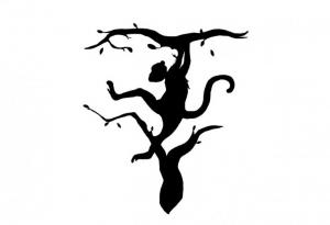 Първото, което видите, разкрива вашата сила