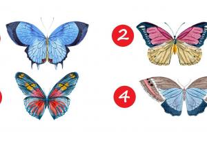 Изберете пеперуда и разберете кои са вашите най-силни качества