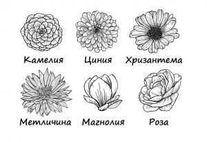Изберете цвете и открийте какво ви тревожи в момента