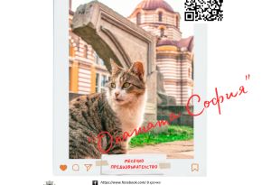 Фотоконкурсът „В крачка“ с първи победител и второ месечно предизвикателство 