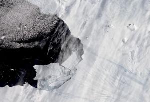 Топящ се глетчер в Антарктика разкри неизвестен досега остров
