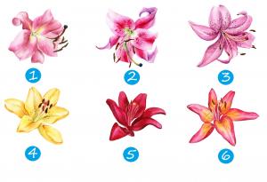 Лилията, която изберете, ще ви разкрие що за човек сте