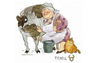 Как щяха да изглеждат зодиите, ако бяха бабки: 12 красиви илюстрации