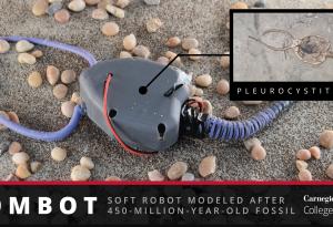 Учени възродиха праисторическо морско създание като робот с меко тяло