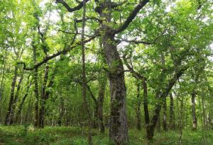 Две нови територии минават под закрилата на закона по предложение на WWF