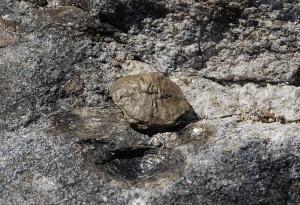 Камъните, които дават живот - един необикновен геоложки феномен