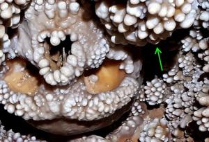 Човекът от Алтамура, открит вграден в пещерна стена, е претърпял злощастна смърт 