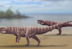Гигантски древен предтеча на крокодилите е ходел на два крака