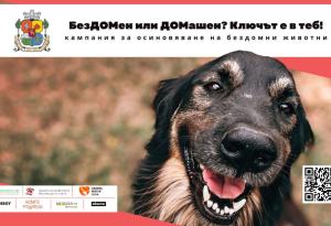 Кампанията „БезДОМен или ДОМашен? Ключът е в теб!“ със 109 осиновени животинки