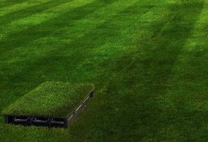 Тези батерии се зареждат от почвата