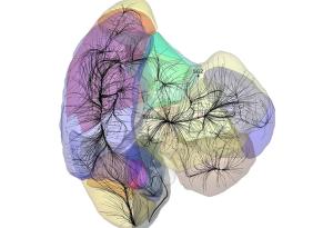 Нашата галактика е част от структура, която е толкова голяма, че предизвиква моделите ни в космологията