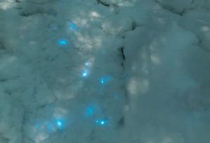 Учени се натъкнаха на мистериозен сияещ сняг в руската Арктика