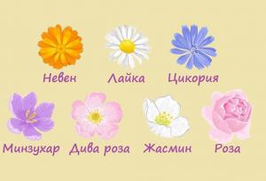 Цветето, което изберете, ще ви покаже какво е важно да направите за себе си