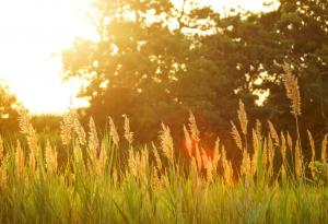 Светът преживя най-топлия юни през последните 144 години