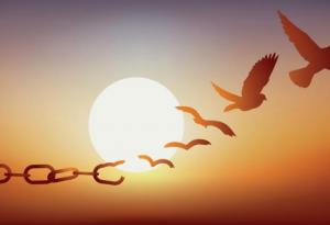 Моите 7 урока от 7 години без кредити