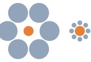 Заблуждават ли се животните от оптичните илюзии? Какво могат да ни научат рибите и птиците за възприятието