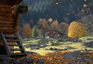 31 приказни снимки на есенна Швейцария