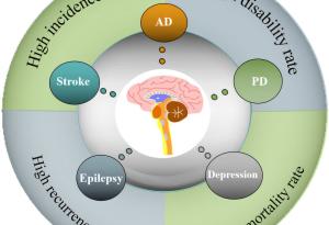 Лечебни китайски гъби показват потенциал за терапия на заболявания на централната нервна система
