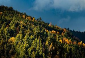 Ноември 2022 г. – у нас бяха регистрирани типично летни максимални температури от 25 до 30 °C