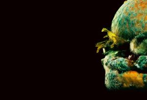 Изменението на климата и микробиологичните хранителни опасности