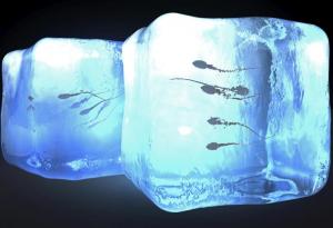 Кой трябва да замрази сперма