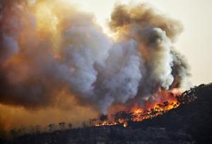 Горските пожари в Австралия през 2019 и 2020 година са влошили състоянието на озоновия слой