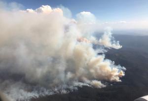 Пожарите от австралийското „черно лято“ са оказали поразителен ефект върху атмосферата
