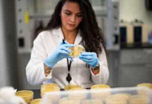 Учени разработиха филтър, който убива коронавируса