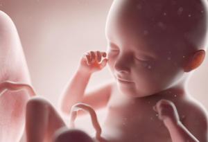 Какво чувства бебето по време на раждане