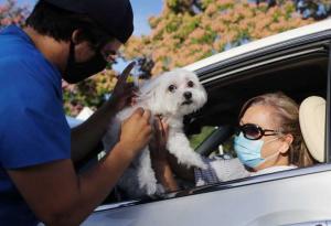 Русия регистрира ваксина срещу коронавирус и за животни