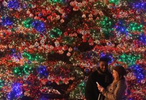 Истинска или изкуствена елха да изберем за тази Коледа?