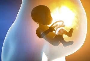 Как диша бебето в корема на мама