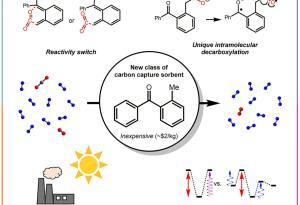 Иновативна система, вдъхновена от растенията, улавя въглерод с помощта на слънчева светлина