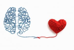 Ако детето добре разбира своите и чуждите емоции, се учи по-добре