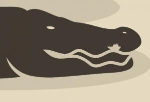 Първото, което видите, ще разкрие характера ви на 100%