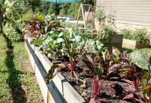 Наръчник за стилно и красиво ландшафтно проектиране