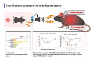 Звуковият стрес може да удължи и засили болката