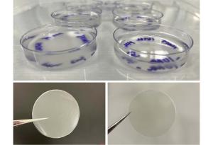 Първа стъпка към растителна алтернатива на желатина