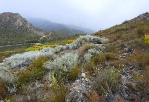 Откриха нови видове с помощта на усъвършенствана ДНК технология