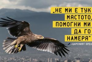 Обетована земя за редки видове