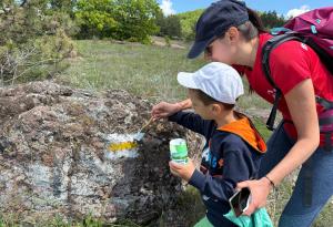  Билото на Софийска планина е с нова туристическа маркировка