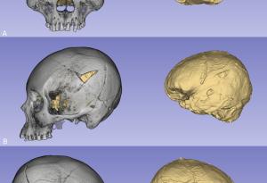 Модерният начин на живот обяснява защо хората в Чили днес са по-високи и с по-големи глави от своите предци