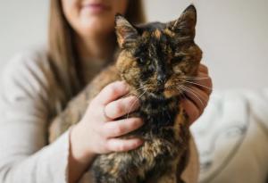 Запознайте се с Флоси – най-старата котка на света