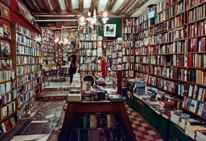Бърза литература: как BookTok и издателската индустрия променят екологичния отпечатък на книгите?