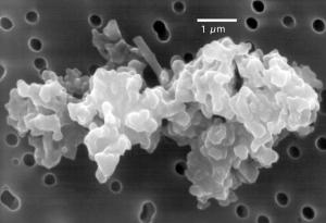 Проучване показва, че животът се разпространява в Космоса чрез малки невидими частици