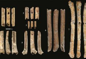 Флейти на близо 12 000 години, изработени от кости, звучат досущ като хищни птици