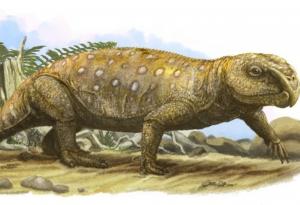 Тревопасните животни през триаса вероятно са загивали от глад заради зъбите си 