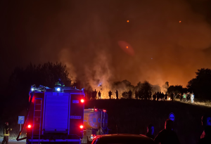 Българската гора в пламъци: кога ще се научим да се пазим от огъня?