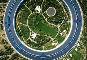 Кръговата икономика навлиза и в българския бизнес: кой печели от промяната?